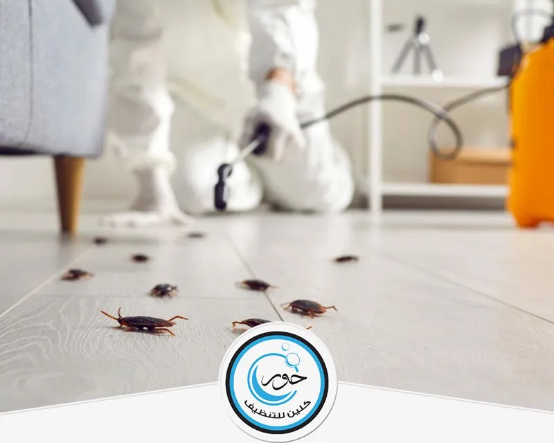 شركة مكافحة حشرات الطائرة بشقراء 0567483615 حور كلين شركة حور كلين تقدم أفضل خدمات مكافحة الحشرات الطائرة بشقراء بسرعة وكفاءة عالية لضمان بيئة صحية وآمنة.