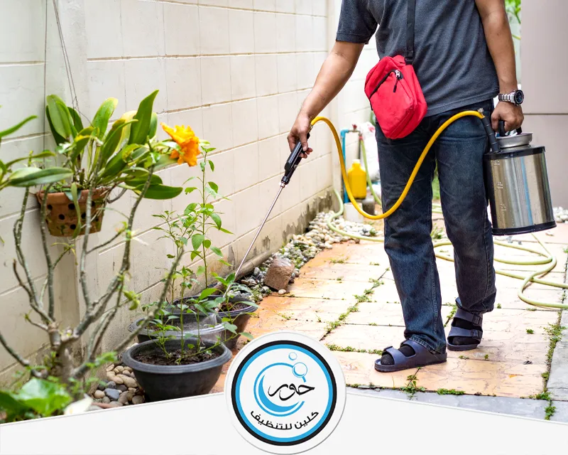 شركة مكافحة مكافحة البراغيث بشقراء 0567483615 حور كلين شركة حور كلين توفر خدمات مكافحة النمل الأبيض بشقراء من خلال متخصص ماهر يضمن القضاء التام والآمن.