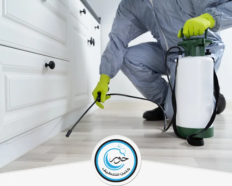 شركة مكافحة الفئران بشقراء 0567483615 حور كلين شركة حور كلين توفر خدمات مكافحة الفئران بشقراء بطرق آمنة وفعالة لضمان بيئة نظيفة وصحية.