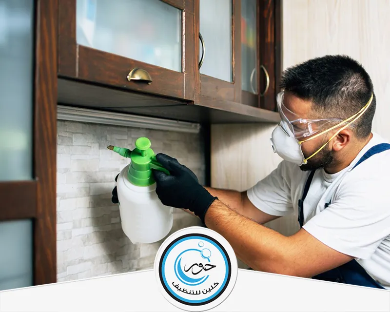 رش مبيدات حشرية بجازان 0567483615 حور كلين فني شركة حور كلين يقوم برش مبيدات حشرية بجازان للقضاء على الحشرات المنتشرة في المنزل.