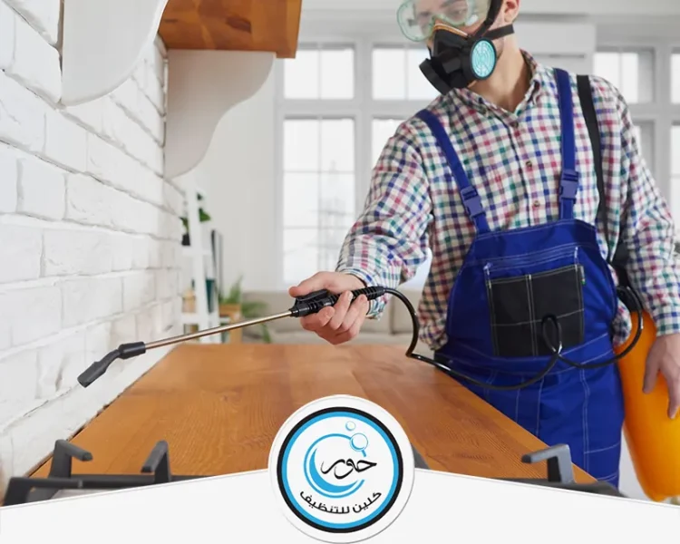شركة مكافحة حشرات بجازان
