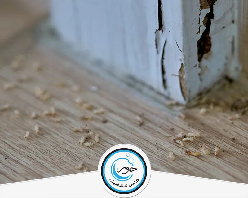 مكافحة النمل الابيض بجازان 0567483615 حور كلين مكافحة النمل الابيض بجازان من شركة حور كلين باستخدام مبيدات حشرية فعالة تقضي على انواع النمل الابيض.