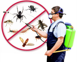 شركة مكافحة حشرات بشقراء خصم 40%