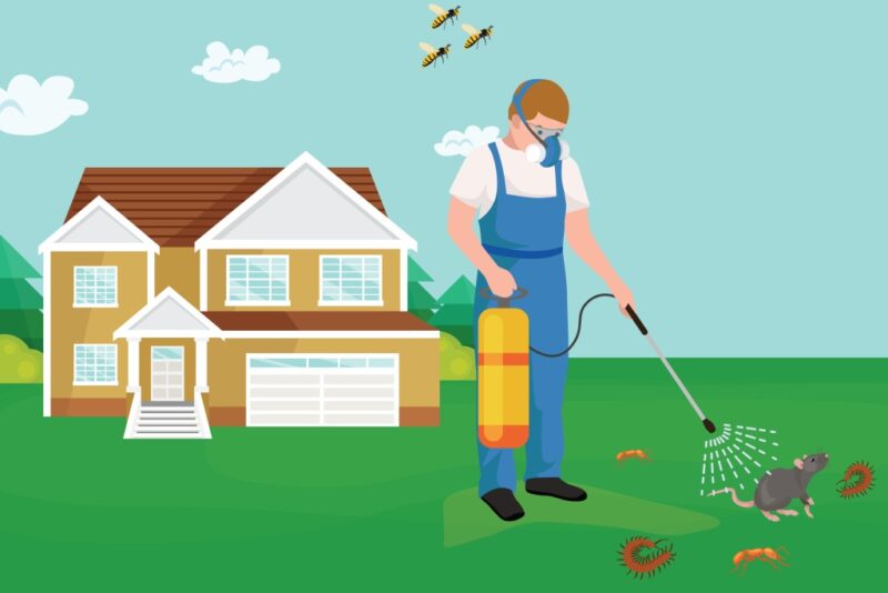 شركة مكافحة الحشرات بجازان خصم 40%