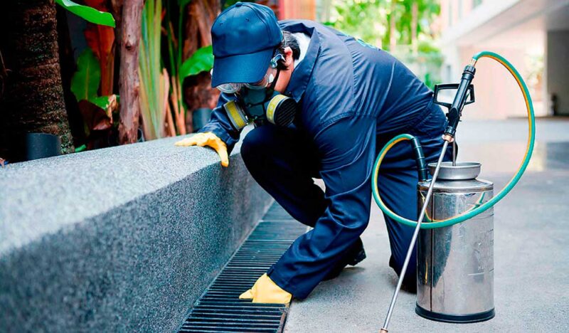 شركة مكافحة الحشرات بجدة مع خصم 40% للعملاء الجدد