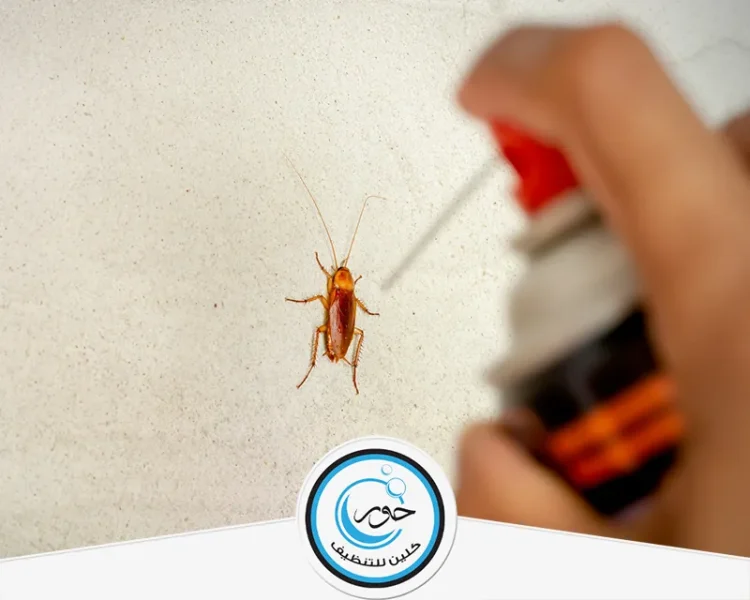 شركة مكافحة حشرات بجدة