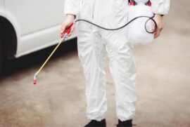 شركة مكافحة حشرات بجدة خصم 40%