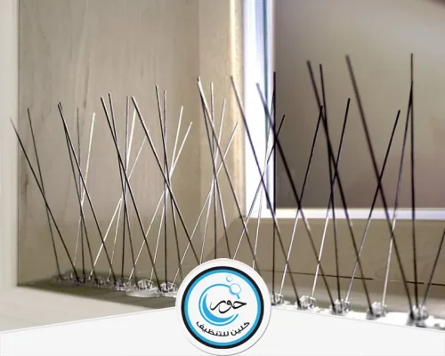 مكافحة الحمام في البيوت بالرياض