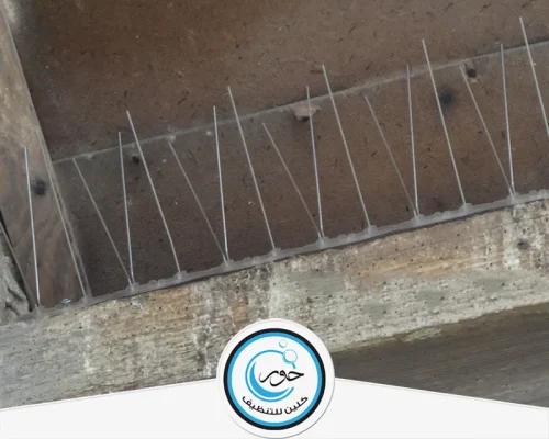 مكافحة ذبابة الحمام بالرياض