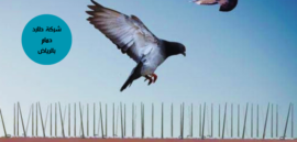 شركة طارد حمام بالرياض