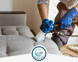 شركة تنظيف كنب بالخرج