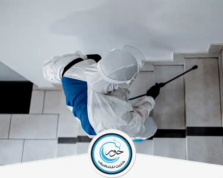 شركة مكافحة حشرات بالخرج