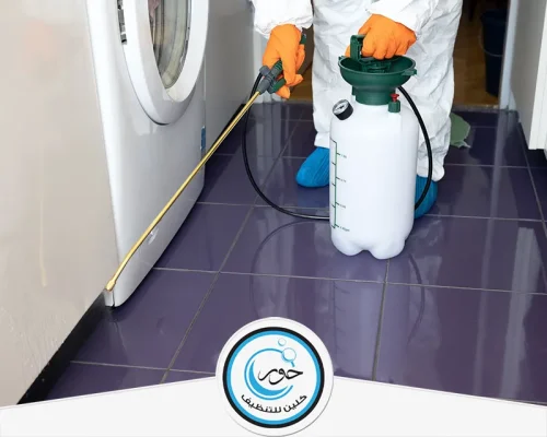 مكافحة الحشرات بالطرق الطبيعية 0501333862 شركة حور كلين إبادة دقيقة للحشرات في الزوايا الضيقة بأحدث المعدات.